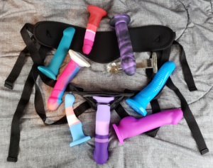 The harness laying flat with an assortment of dildos scattered across it. Going circular starting with the teal dildo on the left: Temptasia Reina, Vixskin Mustang, Avant True Blue, Avant Purple Rain, Real Nude Ergo, (discontinued), Basic Curve Glass, Tantus Vamp, Avant Pride Beauty.