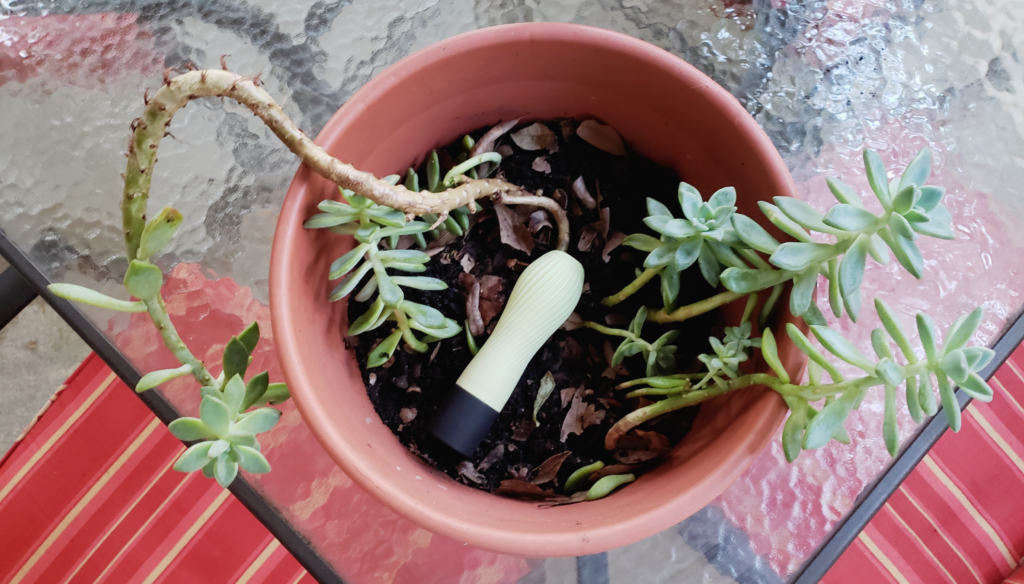 A bird's eye shot of a green vibrator sitting in a potted plant on a glass patio table. The vibrator is small and shaped like a thick drumstick; its bulbous end is lined with pleats.