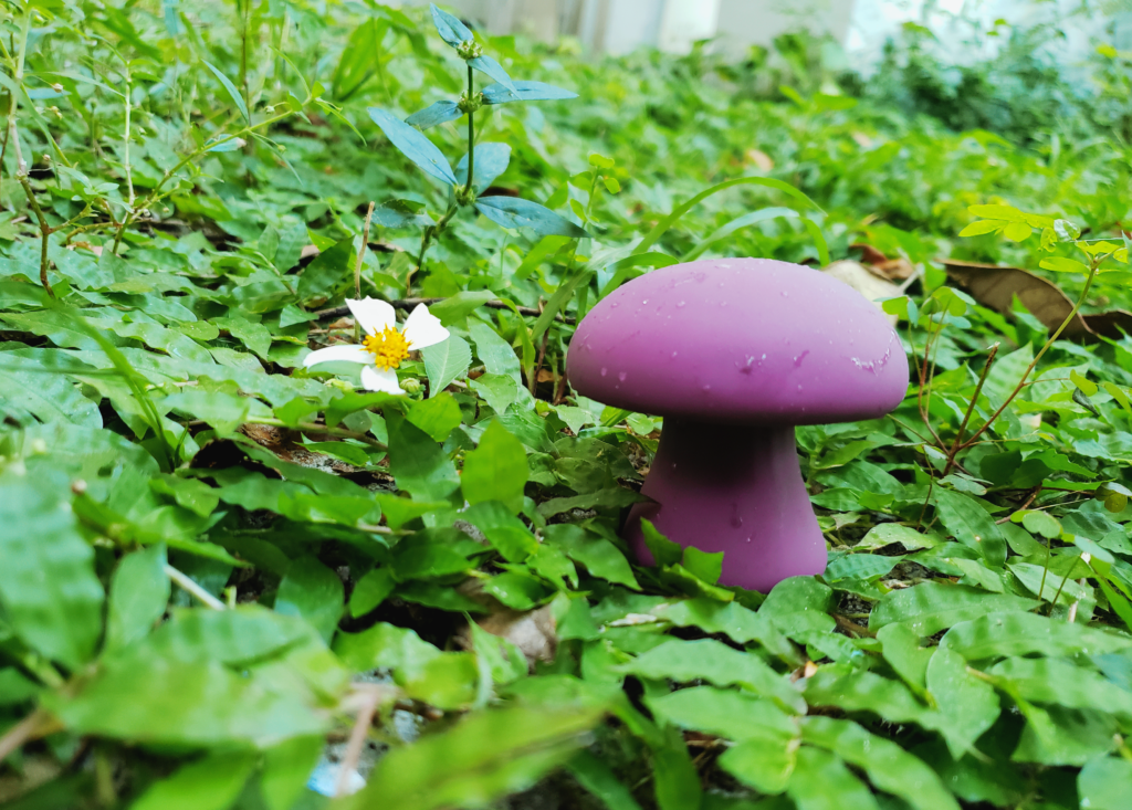 A short, stout vibrator shaped like a mushroom. It's sitting in some leafy foliage, including a spindly little flower that's missing a petal.