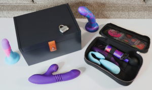 The Moi Box surrounded by sex toys and the open travel case.